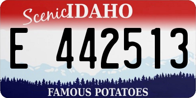 ID license plate E442513