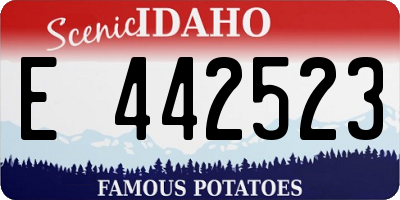 ID license plate E442523