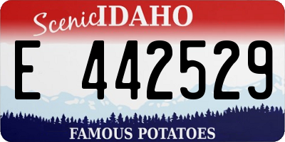 ID license plate E442529
