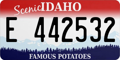 ID license plate E442532