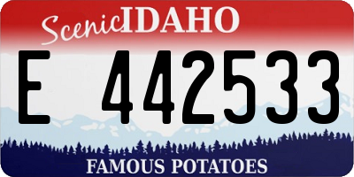 ID license plate E442533