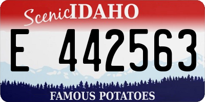ID license plate E442563