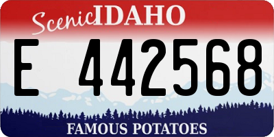ID license plate E442568