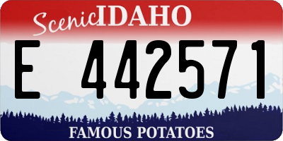 ID license plate E442571