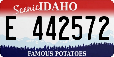 ID license plate E442572