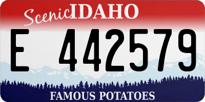 ID license plate E442579