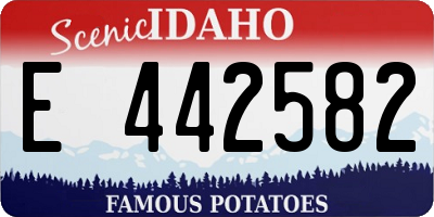 ID license plate E442582