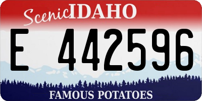 ID license plate E442596