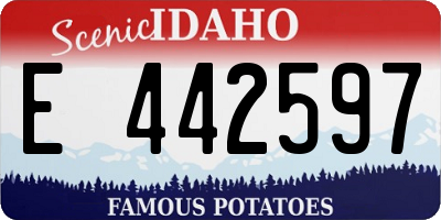 ID license plate E442597
