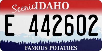 ID license plate E442602