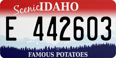 ID license plate E442603