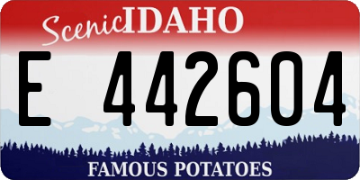 ID license plate E442604