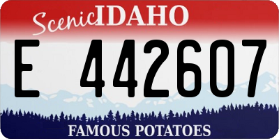 ID license plate E442607