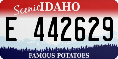 ID license plate E442629