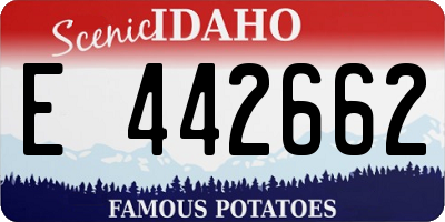 ID license plate E442662