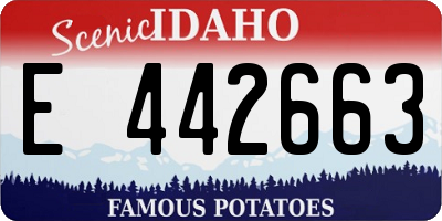 ID license plate E442663