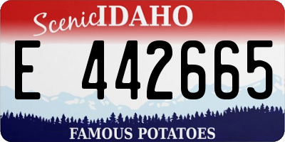 ID license plate E442665