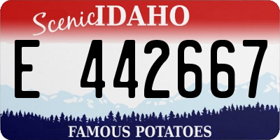 ID license plate E442667