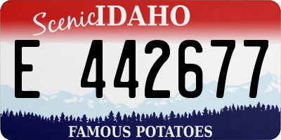 ID license plate E442677