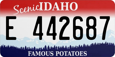 ID license plate E442687