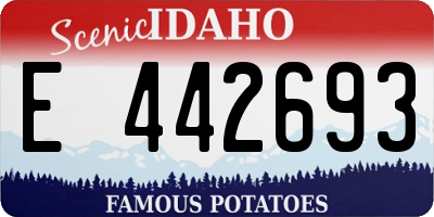 ID license plate E442693