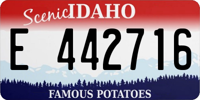 ID license plate E442716