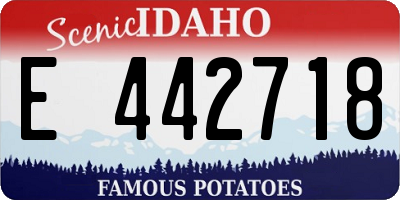 ID license plate E442718