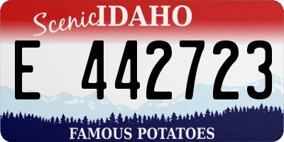 ID license plate E442723
