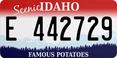 ID license plate E442729