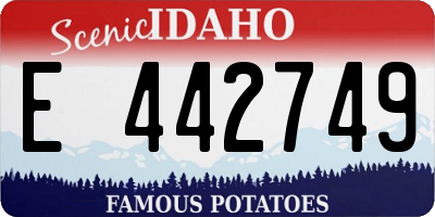 ID license plate E442749