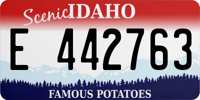 ID license plate E442763