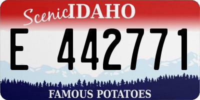 ID license plate E442771