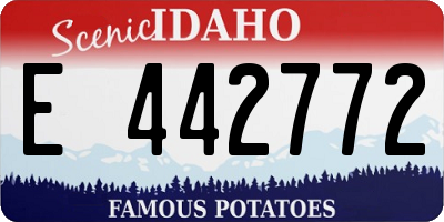 ID license plate E442772
