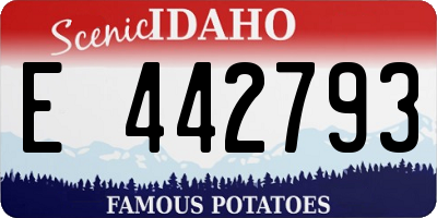 ID license plate E442793