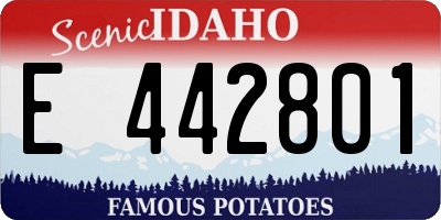 ID license plate E442801