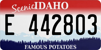 ID license plate E442803