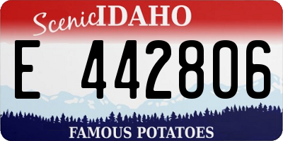 ID license plate E442806