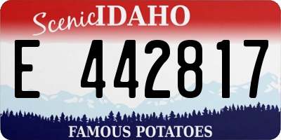 ID license plate E442817