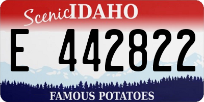 ID license plate E442822