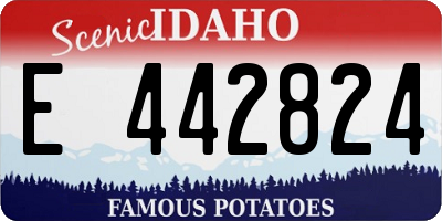 ID license plate E442824