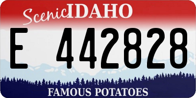ID license plate E442828