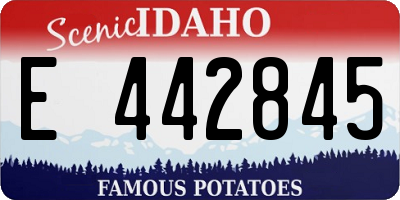 ID license plate E442845