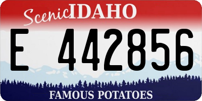 ID license plate E442856