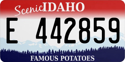ID license plate E442859