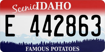 ID license plate E442863