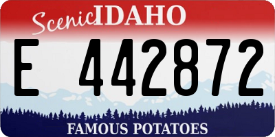 ID license plate E442872