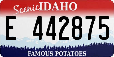 ID license plate E442875