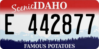 ID license plate E442877