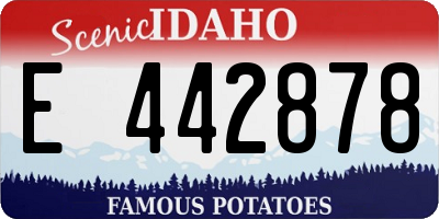 ID license plate E442878