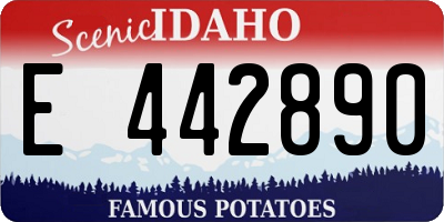ID license plate E442890